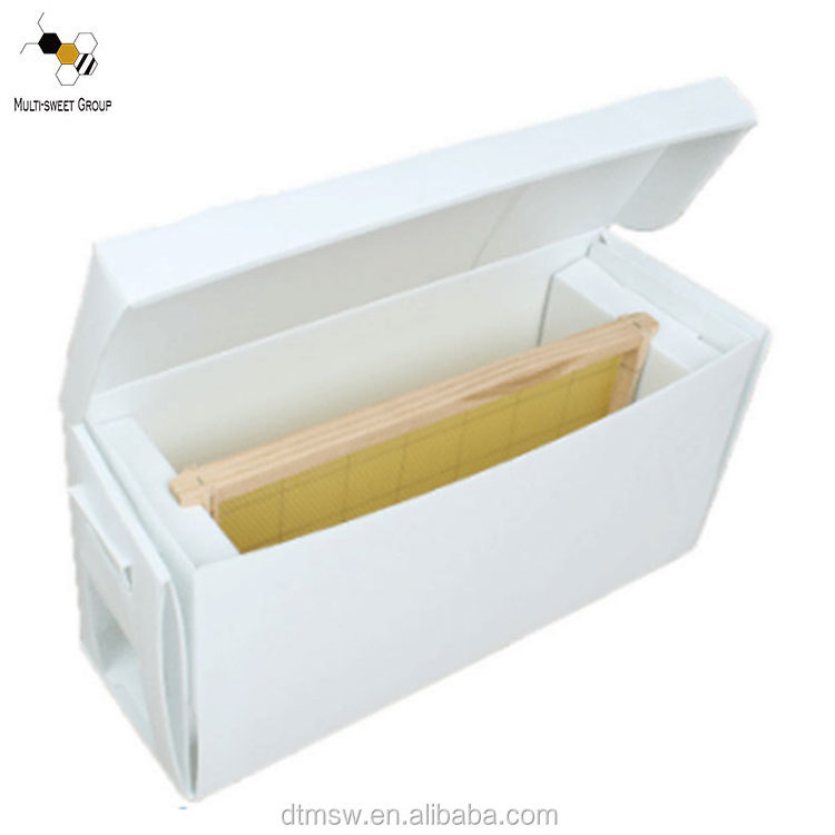 Beekeeping pp plastic beehive bee nuc box