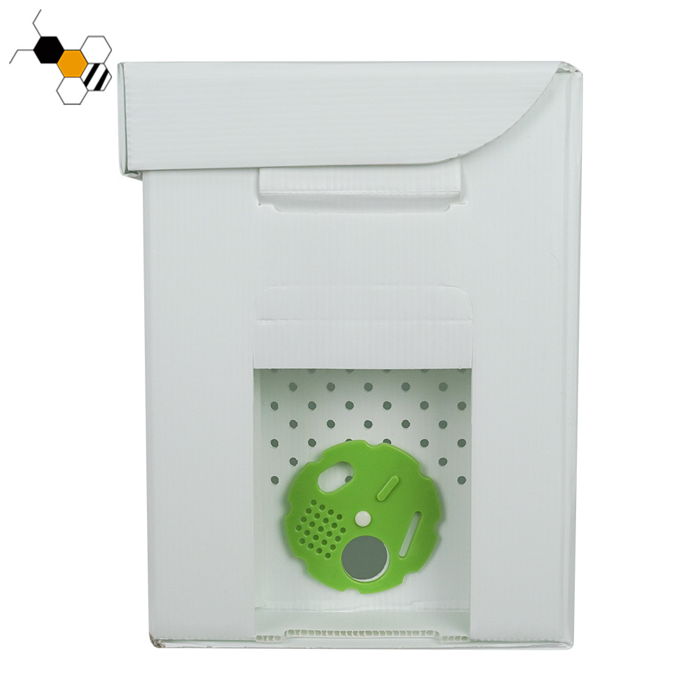 New Plastic Corflute Beehive Nuc Box for Beekeeping for Farms Home Use Retail