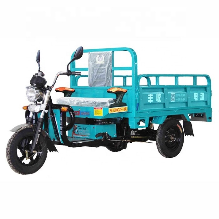 Cargo Tricycle Electric Trike Three Wheeler Tuk Tuk 3 Wheel Bike with 1000W LCD Display 48V Ev Motorcycle 2000w 3 Wheel Open