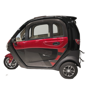 EEC Fully Enclosed 3 Wheel Electric Vehicle Electric Tricycle With Solar Power