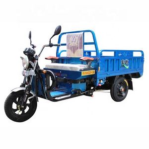 Cargo Tricycle Electric Trike Three Wheeler Tuk Tuk 3 Wheel Bike with 1000W LCD Display 48V Ev Motorcycle 2000w 3 Wheel Open