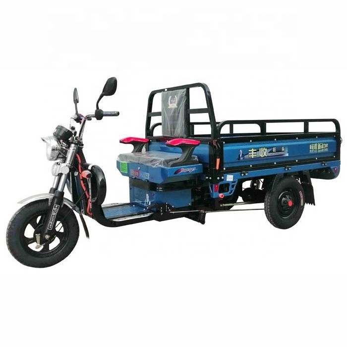 Cargo Tricycle Electric Trike Three Wheeler Tuk Tuk 3 Wheel Bike with 1000W LCD Display 48V Ev Motorcycle 2000w 3 Wheel Open