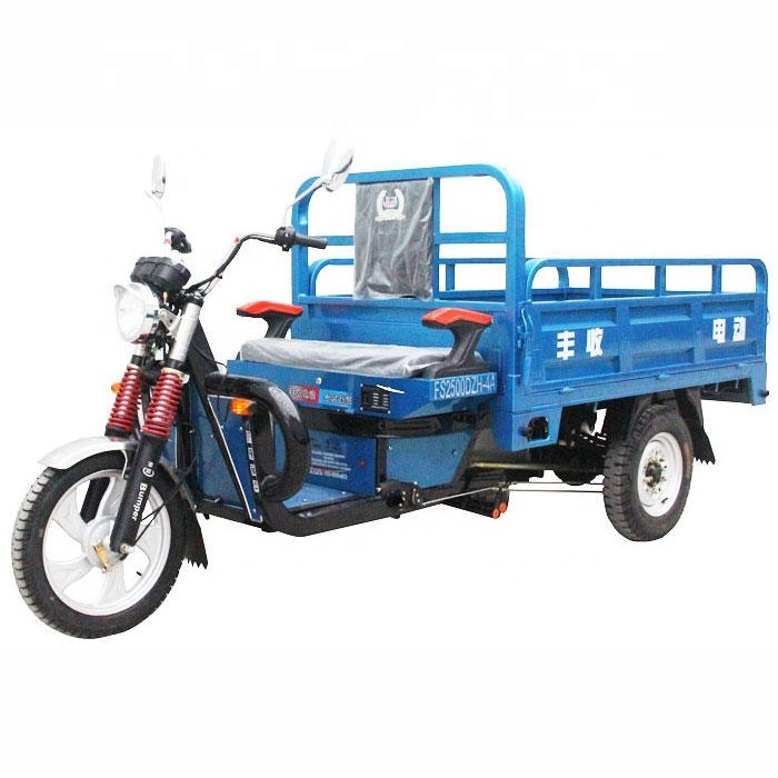 Cargo Tricycle Electric Trike Three Wheeler Tuk Tuk 3 Wheel Bike with 1000W LCD Display 48V Ev Motorcycle 2000w 3 Wheel Open