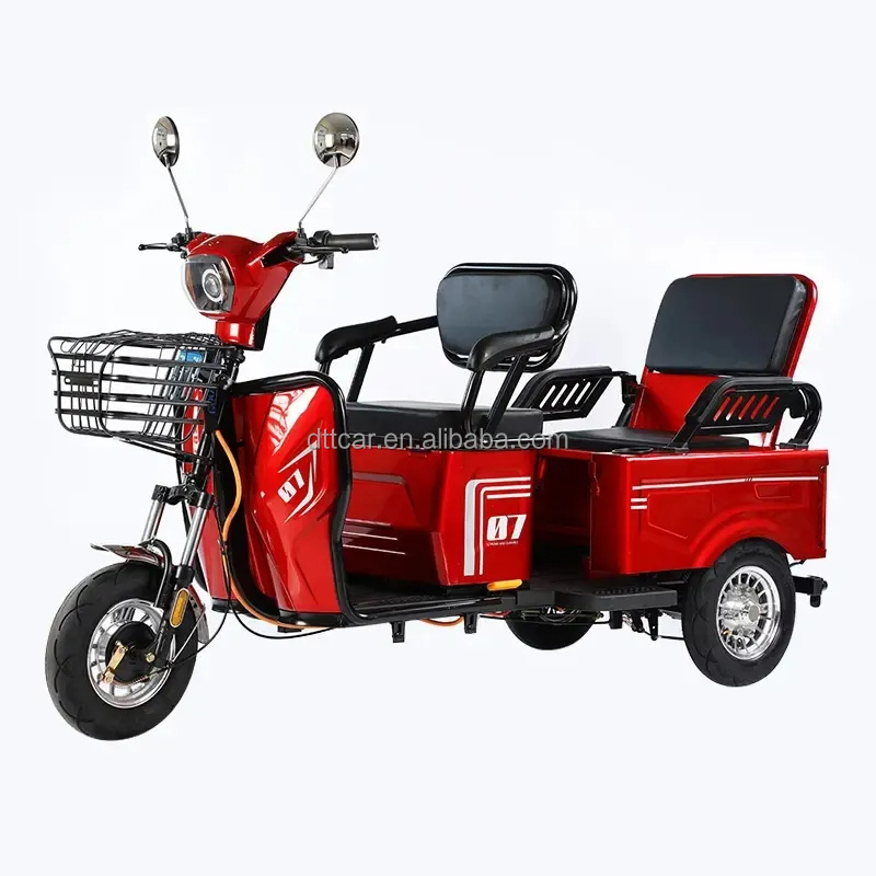 2024 Trike Electric Scooter Three Wheel Motorcycle 3 Wheel Bicycle Electric Bike Tricycles Mini Electric Car Pedicab Rickshaw