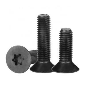 ISO 14581 Screw Fasteners carbon Steel Torx countersunk Head Bolts Torx security bolt