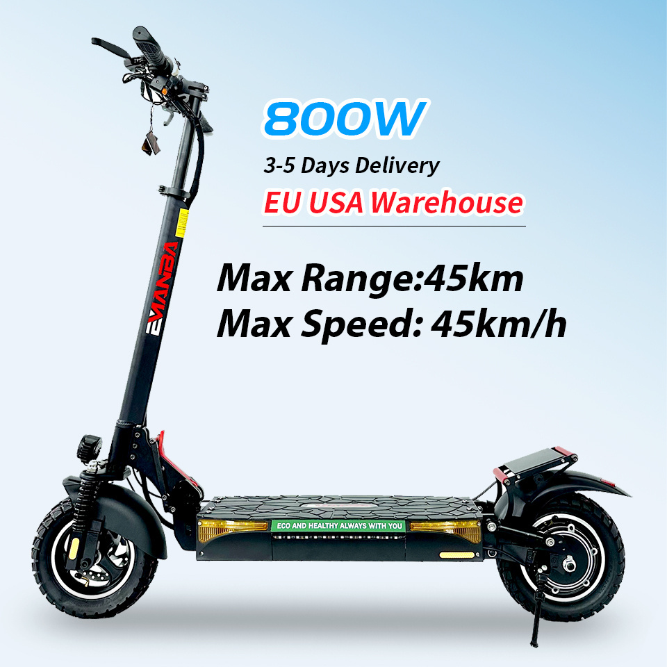 Dualbots 10 Inch Tires Powerful 2 wheel 800watt Motor EU USA Warehouse Stock Balance E-scooter Electric Adult Scooter