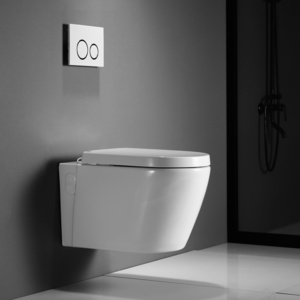 Cheap Price Ceramic Wall Hung Toilet Bowl Wall Mounted Toilet Complete Set Hanging Seat Rimless Flushing Toilet