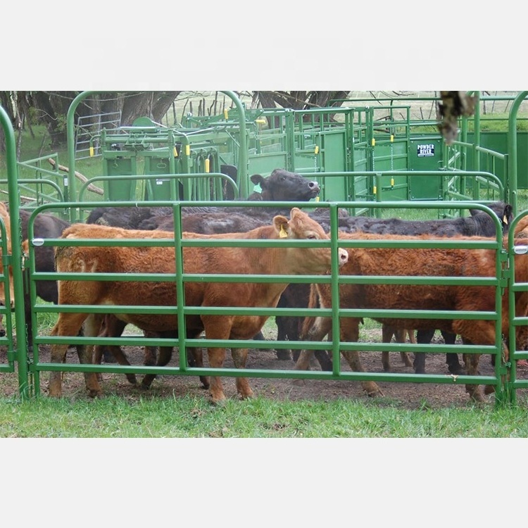 Brand new Cattle Yard Fence Panels Crowd Control Barrier for wholesales