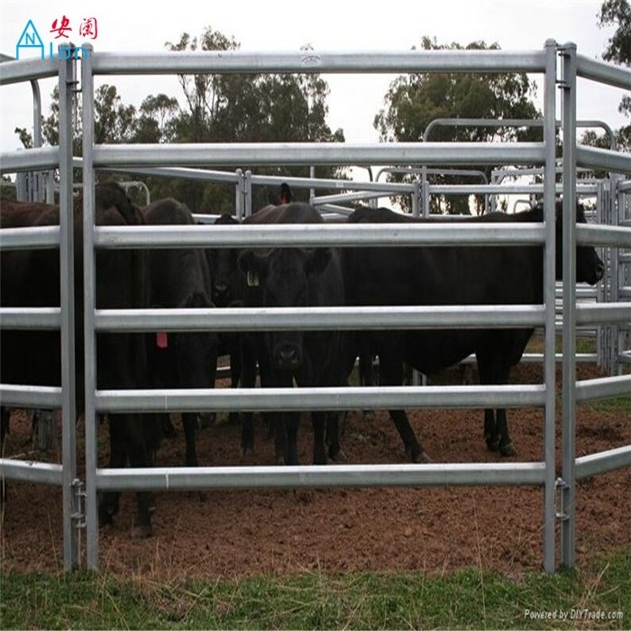 PVC Coated welded wire livestock hog fence panels 2x4x4ftx16ft steel fence and gates safety fencing