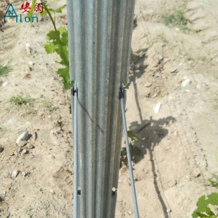 Metal Grape Pole Stakes Galvanized Steel Vineyard Trellis Post