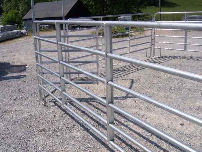 USA Hot Selling 12 Ft Heavy Duty Portable Livestock stall Panel Fence / Horse Corral Fence Panels