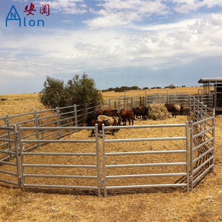 Free standing heavy duty cattle yard panels with a wing gate