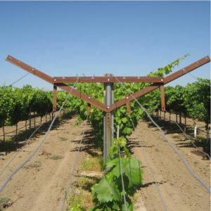 Durable Steel Material hot dipped galvanized Y Shape Table Grape Vineyard Trellis Post Open Gable Trellis System