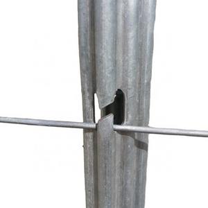 Metal Grape Pole Stakes Galvanized Steel Vineyard Trellis Post