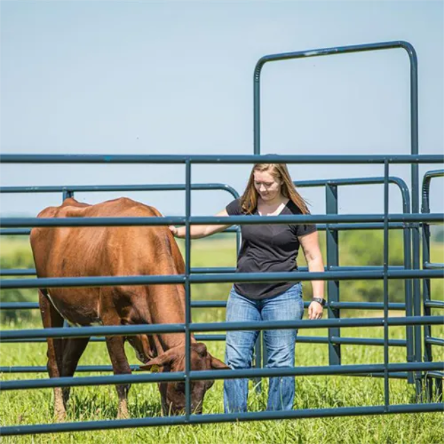 Factory price wholesale High Quality Cheap Field Yard Horse Goat Sheep Corral Farm Fence Panels Cattle Fence on Farm