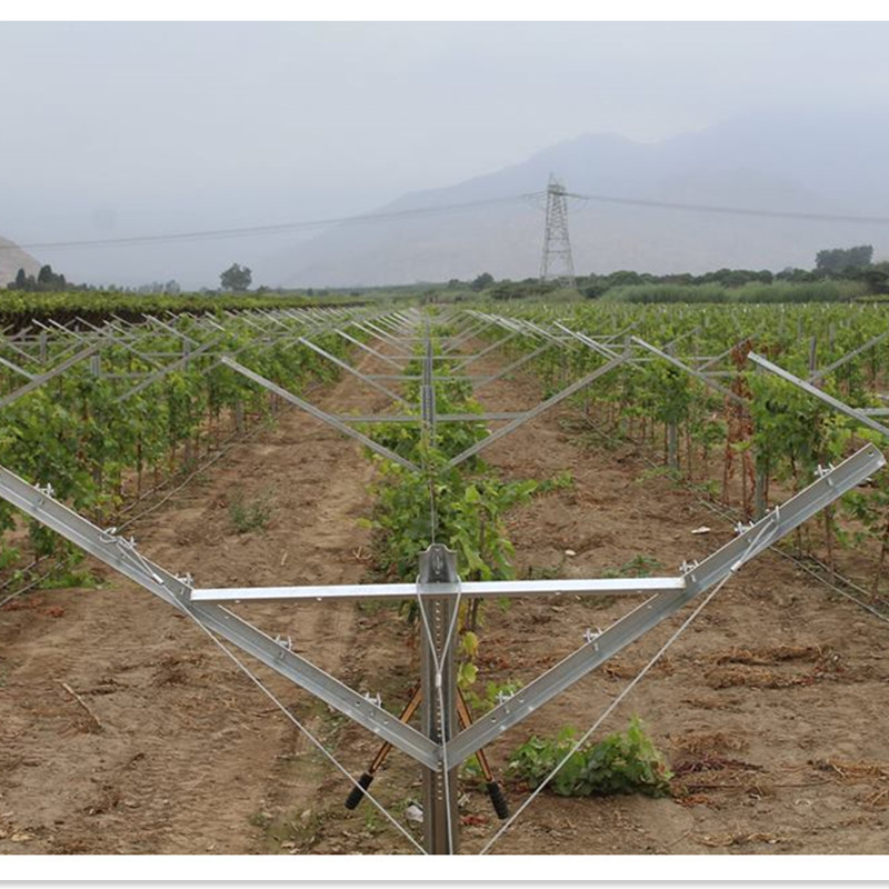 Durable Steel Material hot dipped galvanized Y Shape Table Grape Vineyard Trellis Post Open Gable Trellis System