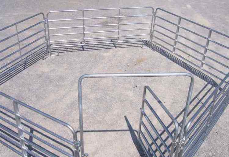 USA Hot Selling 12 Ft Heavy Duty Portable Livestock stall Panel Fence / Horse Corral Fence Panels