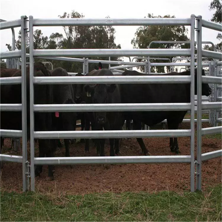 High Quality PVC horse fence / farm fence Galvanized metal cattle corral livestock farm yard fence panels