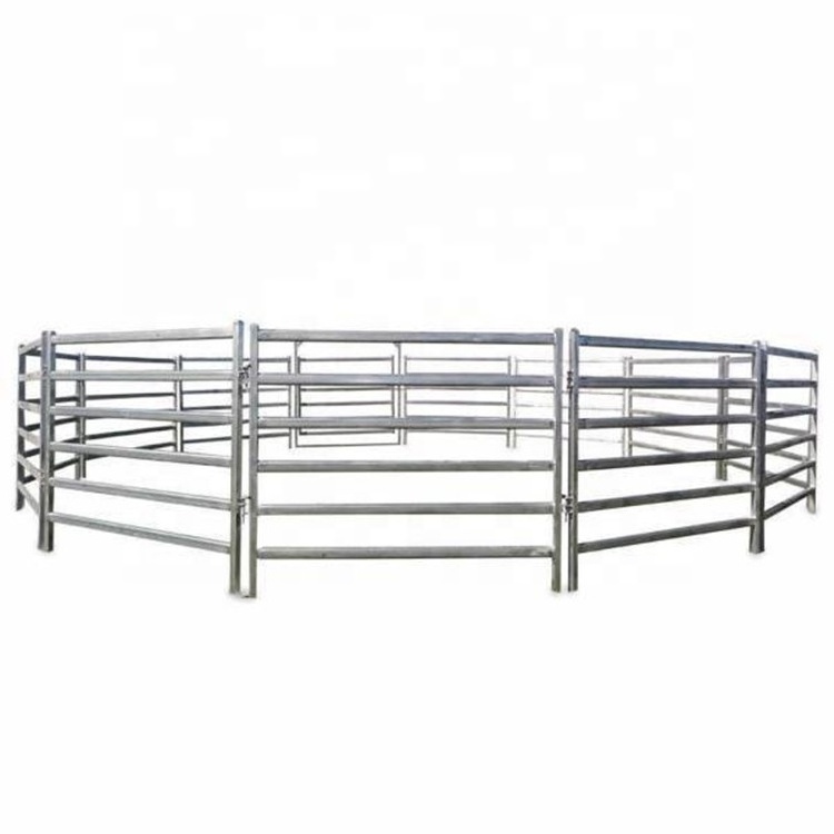 Galvanized 12ft heavy duty used metal horse fence panels Round pen panels Livestock Cattle Panels