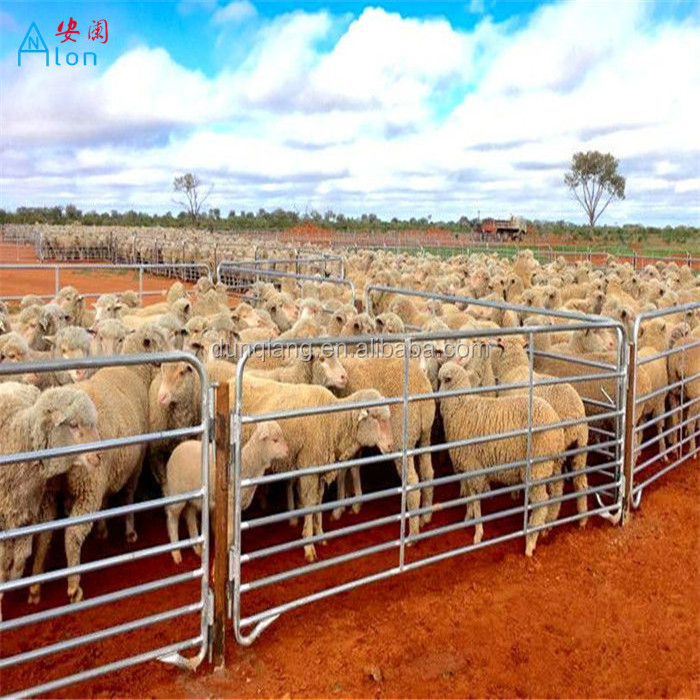 Galvanized 12ft heavy duty used metal horse fence panels Round pen panels Livestock Cattle Panels