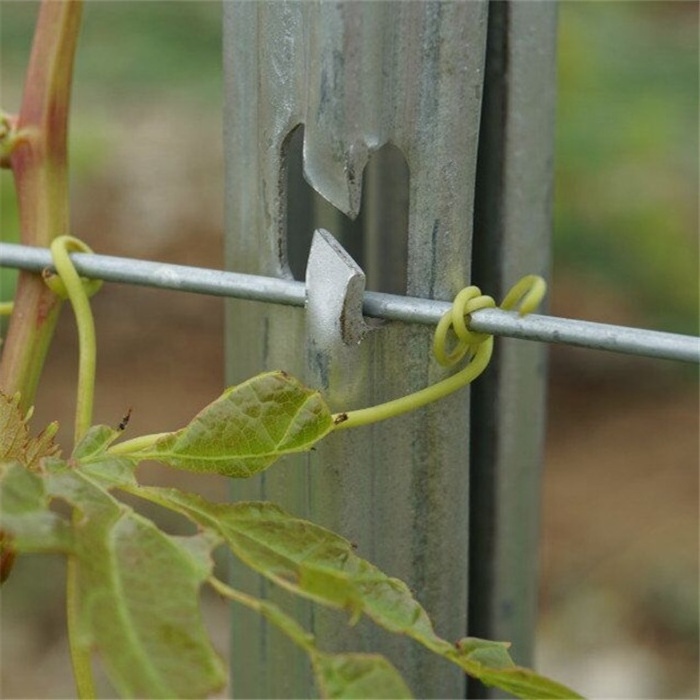 2024 Vine plants vineyard grape stake/vineyard grape metal trellis post for sale