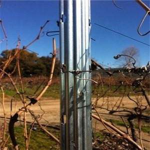 2024 Vine plants vineyard grape stake/vineyard grape metal trellis post for sale