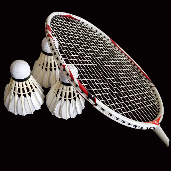 High Quality Shuttlecock Badminton Duck Feather Durable Training Shuttlecock Badminton Ball Custom Logo