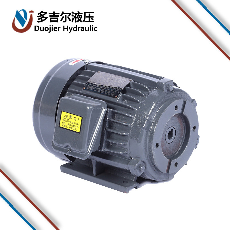 Single Phase 0.75KW induction motor For Hydraulic Pump Three Phase 1.5KW electromotor