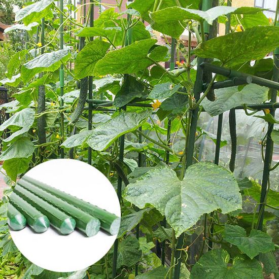 green plastic pvc stuff coated plant sticks for climbing plants