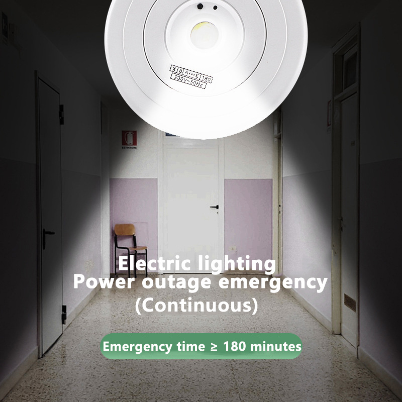 DURLITECN Wholesale Fire Passage 2W Ceiling Spotlight Power Outage Emergency Lighting IP40 LED Embedded Emergency Downlight