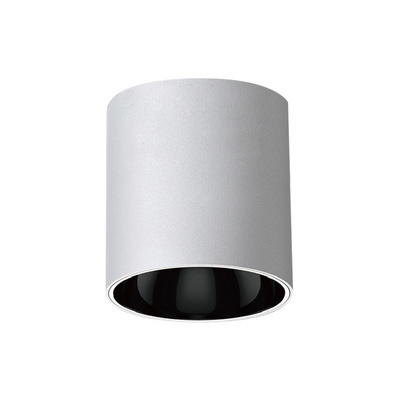 Cylinder COB Ceiling Downlight Round Dimmable Light 10W LED Downlight Surface Mounted Down Light