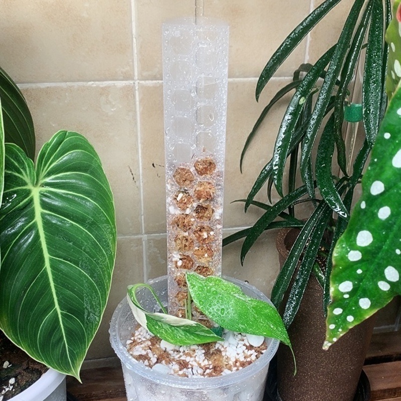 Plastic sphagnum moss plant Pole Moss stick for climbing plants Sphagnum Moss Poles support