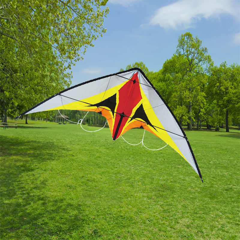 new model colorful professional delta kite beautiful cool sport kite custom dual line power kite