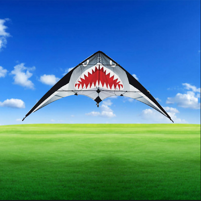 Factory customized fashion dual line sport kites stunt kites china modern big kite