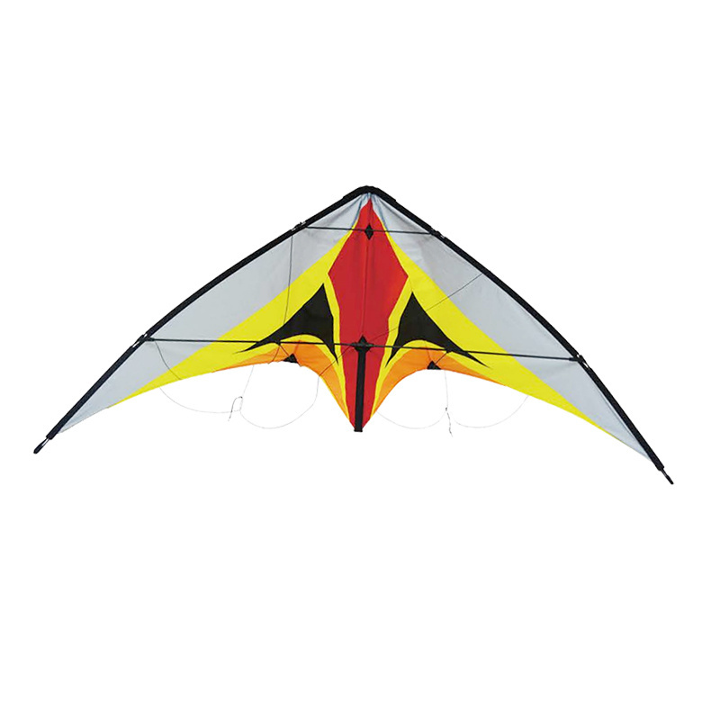 new model colorful professional delta kite beautiful cool sport kite custom dual line power kite