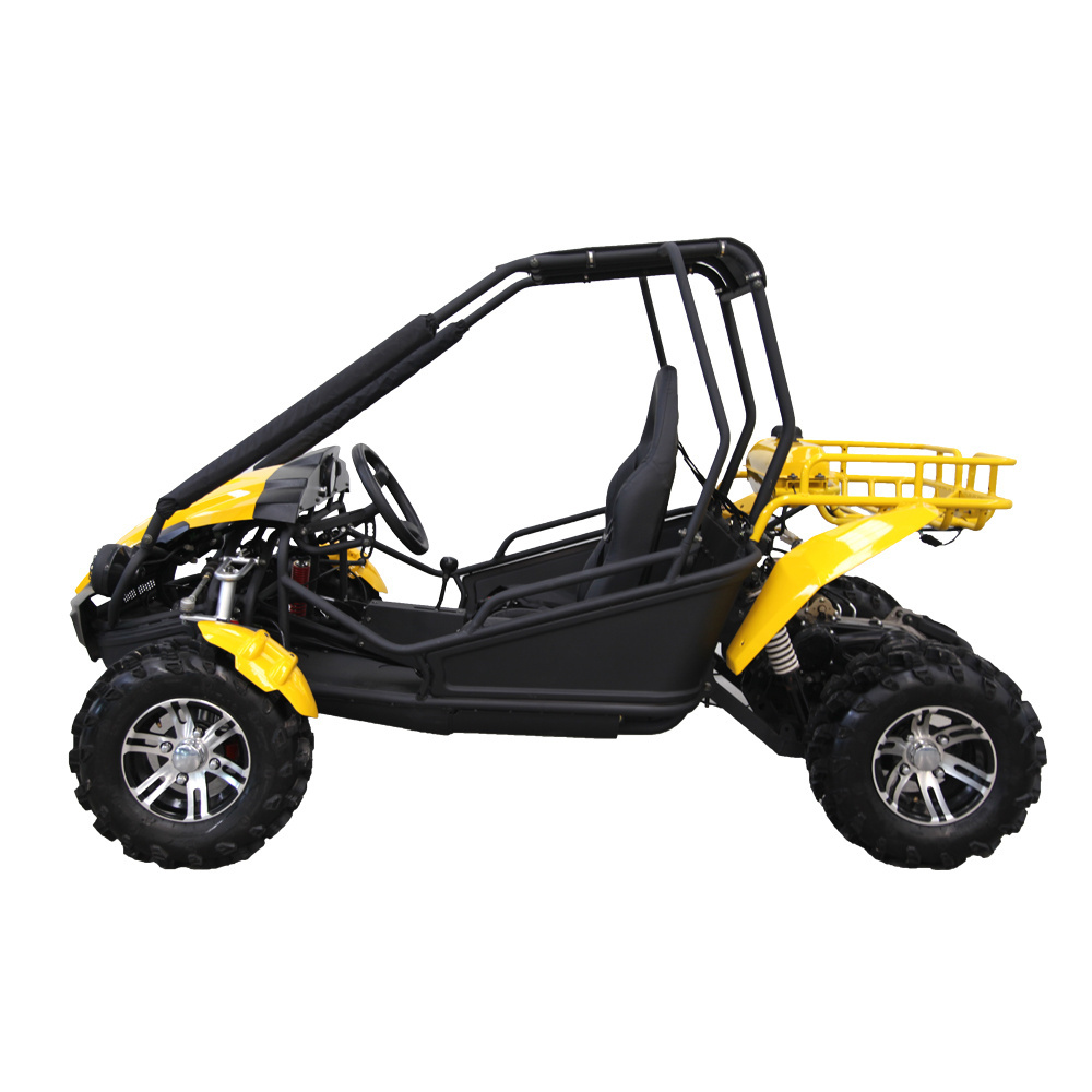 gasoline 250cc dune buggy for sale 2 seater go kart