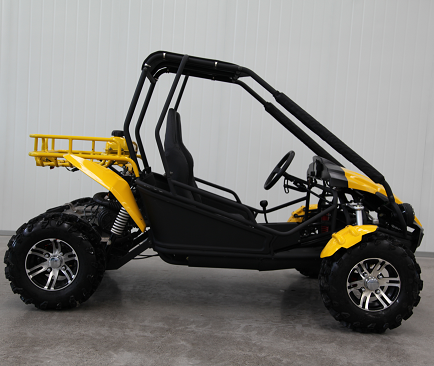 Youth Cheap Dune Buggy 250CC go karts