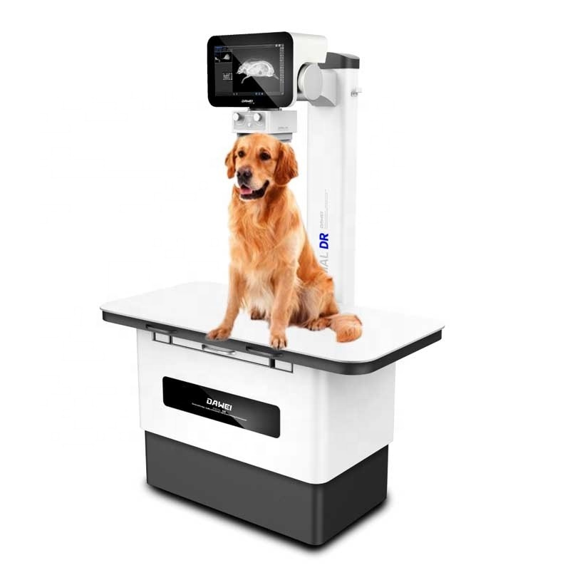 DAWEI pet dog diagnostic system veterinary digital radiography x ray machine