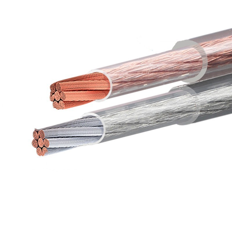 High End 21 0.8mm2 Parallel Flat Transparent Speaker Wire 18 AWG Clear Two Core Hifi Cable for Male Audio Application