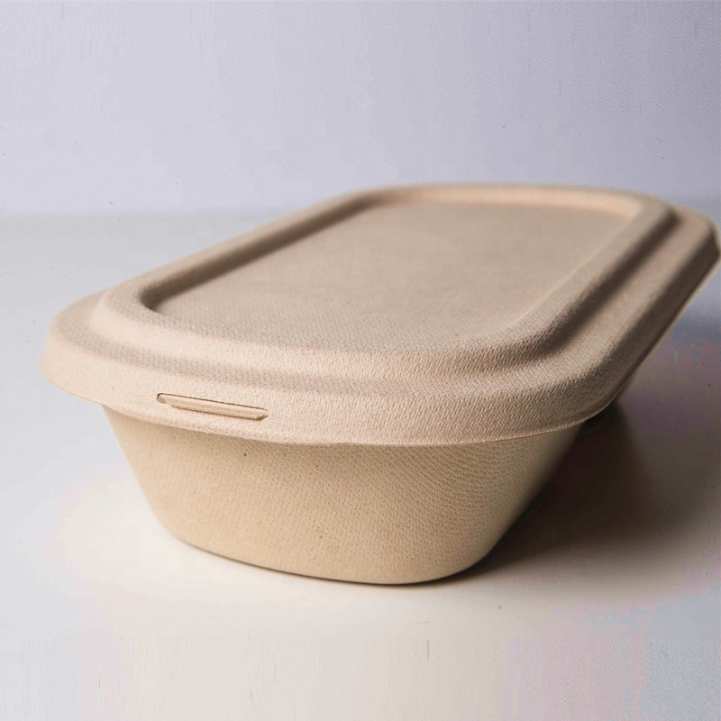 Bagasse Pulp Customized Sugarcane Food Packing Fruit Biodegradable Cornstarch 3 Compartment Disposable Food Container