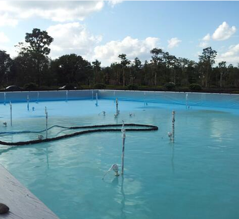 wholesale price spray polyurea coating paint for swimming pool wear-resisting&seepage