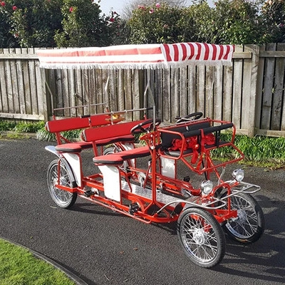 HOT SALE  Pedal Four Wheel Bike Surrey Sightseeing 4 seater Bike with led lights quadricycle