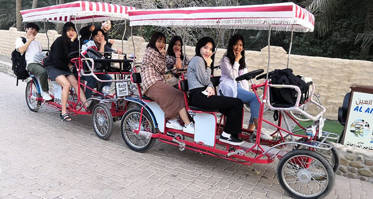 HOT SALE  Pedal Four Wheel Bike Surrey Sightseeing 4 seater Bike with led lights quadricycle