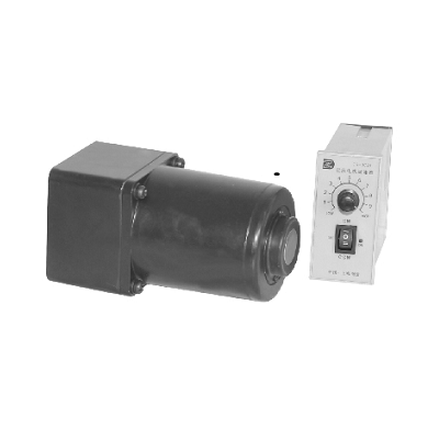 Compact 110V, 220V Single Phase AC Induction Gear Motor with Speed Controller