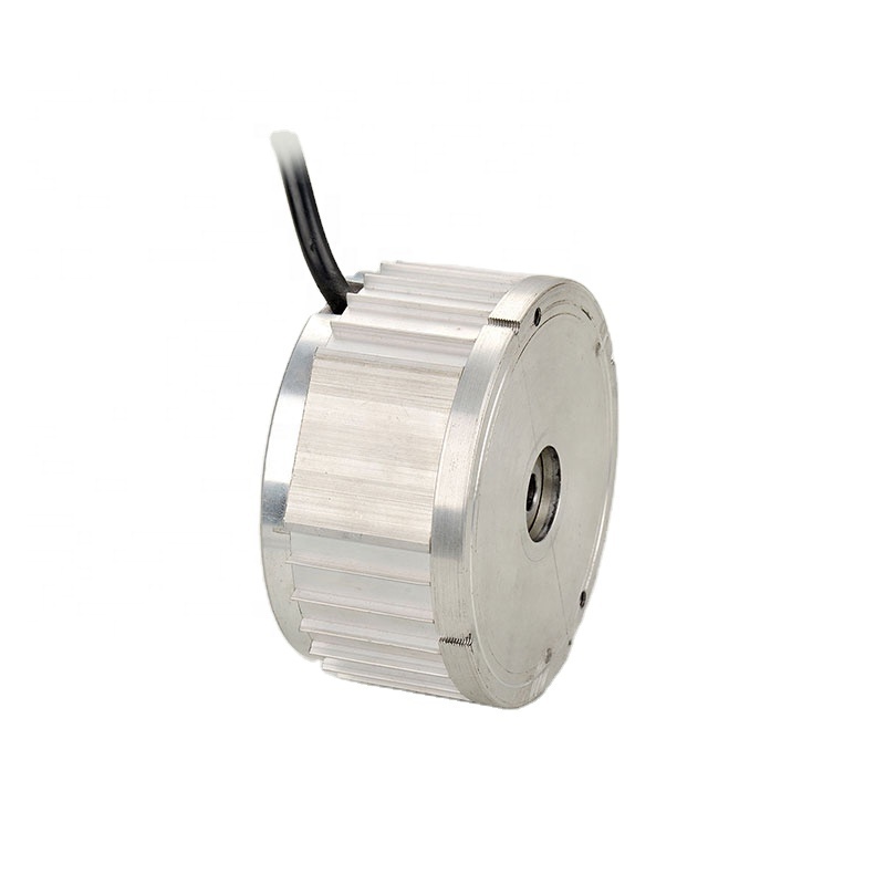 Brushed Electric Power Wheelchair DC Motor 12V