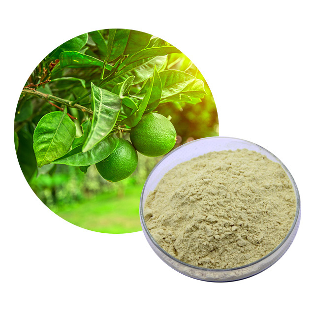 Citrus Aurantium Extract Citrus Bioflavonoids Bitter Orange Peel Extract.