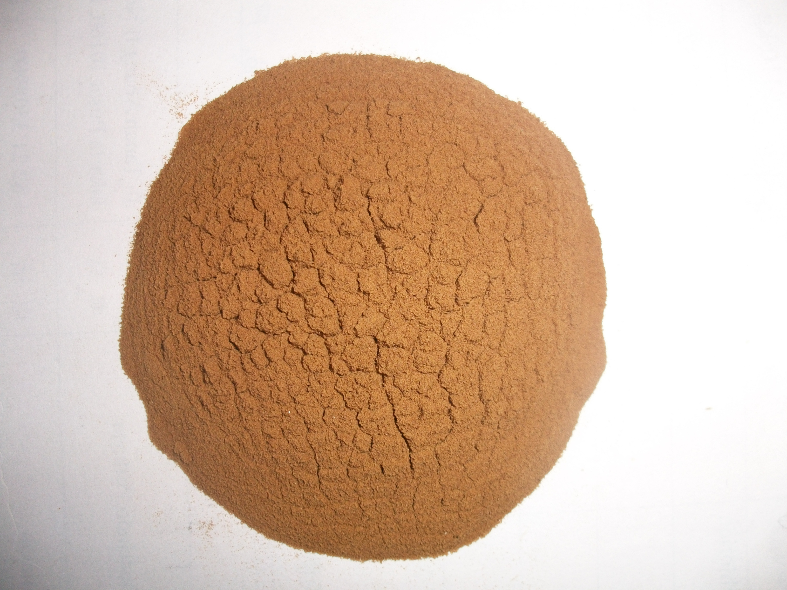 100% Natural Peach kernel extract Powder Certified 4:1-20:1