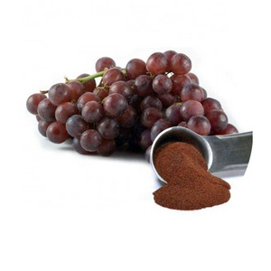 High Quality Procyanidin OPC Grape Seed Extract 95%98% Proanthocyanidins