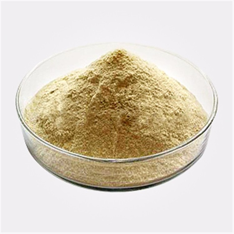 Beta Glucan Powder 70% Oat Beta-Glucan For Beta Glucan Serum