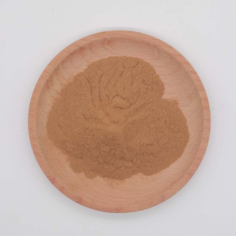 High Quality Horse Chestnut Extract/Aesculus Hippocastanum Seed Extract